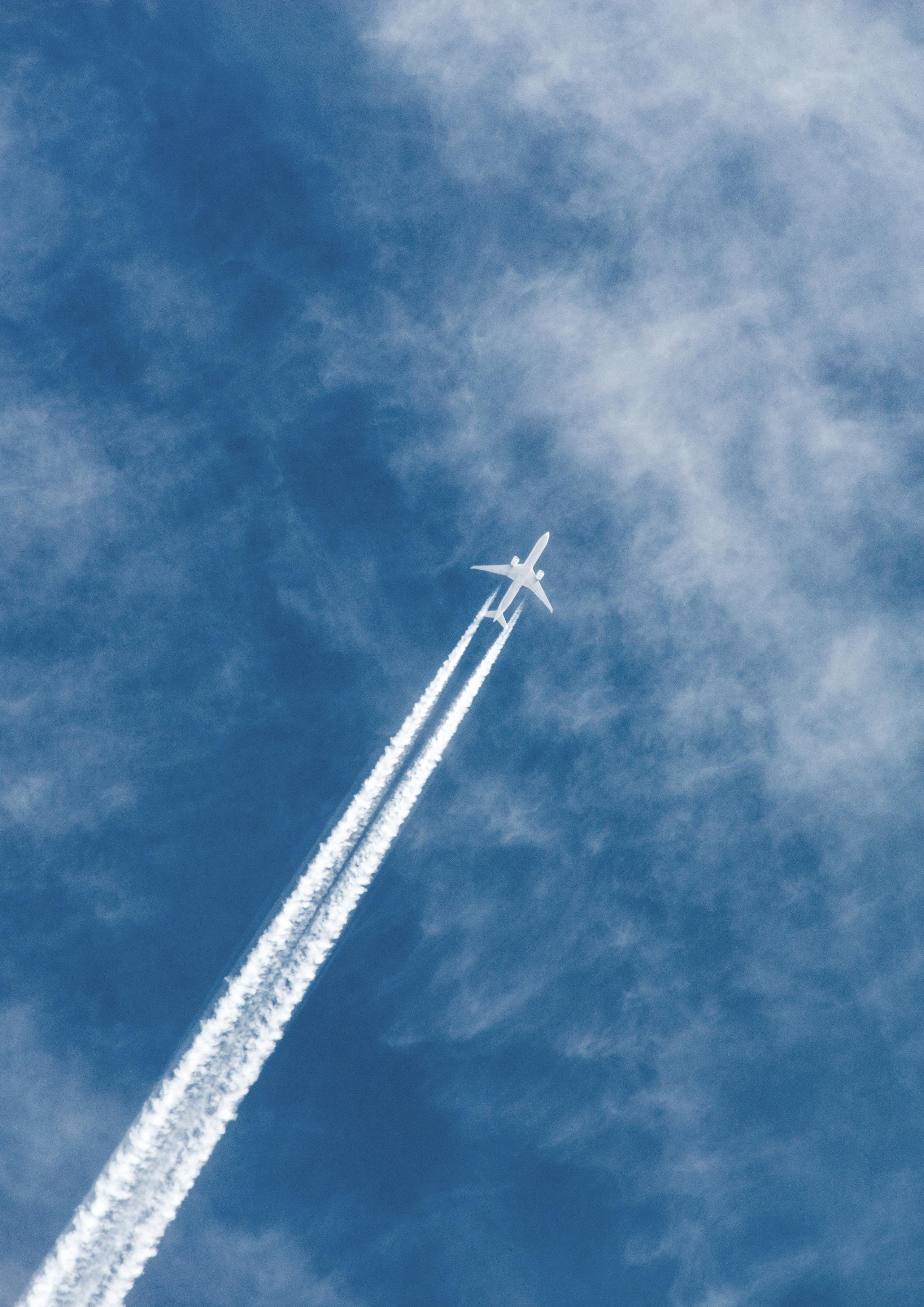 Fly